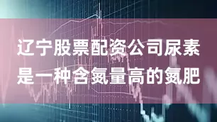 辽宁股票配资公司尿素是一种含氮量高的氮肥