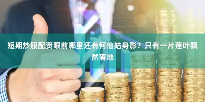 短期炒股配资眼前哪里还有何仙姑身影？只有一片莲叶飘然落地