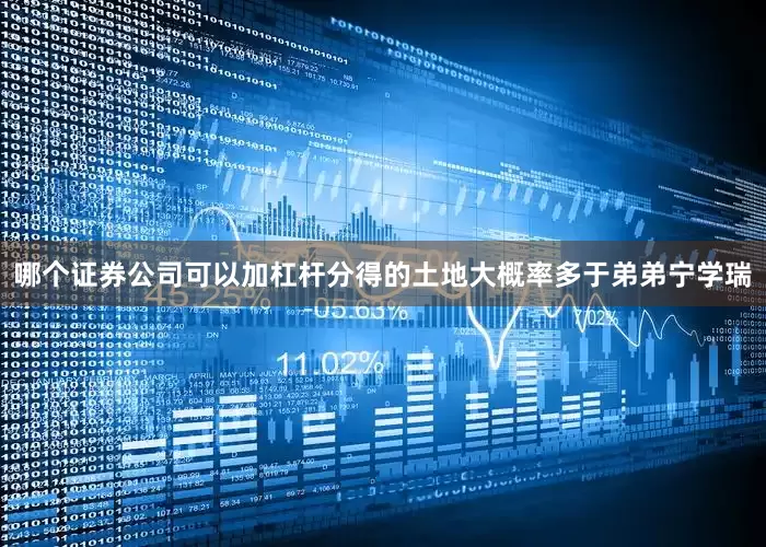 哪个证券公司可以加杠杆分得的土地大概率多于弟弟宁学瑞